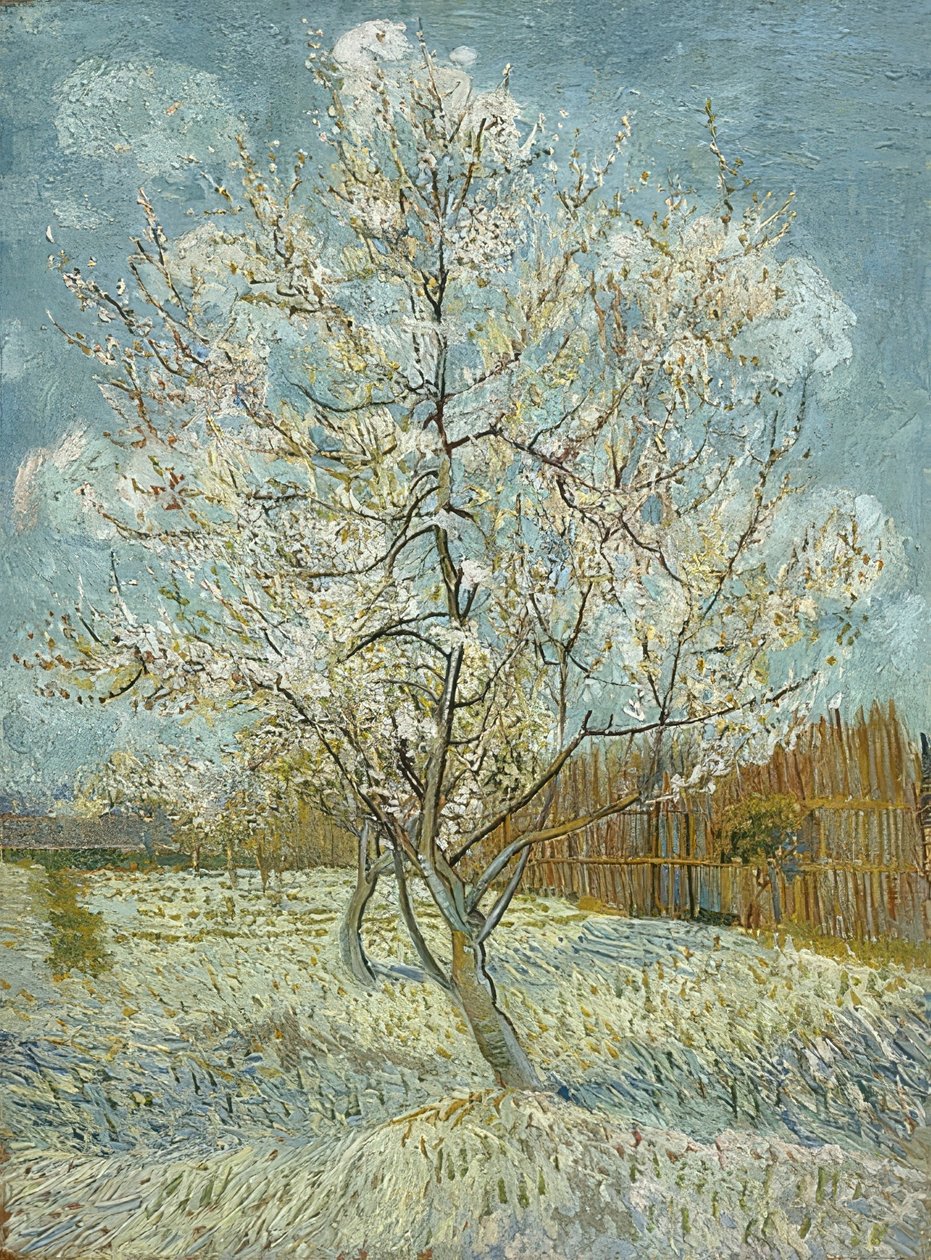 Blomstrende ferskentræ (pink). Arles, april-maj 1888 af Vincent van Gogh