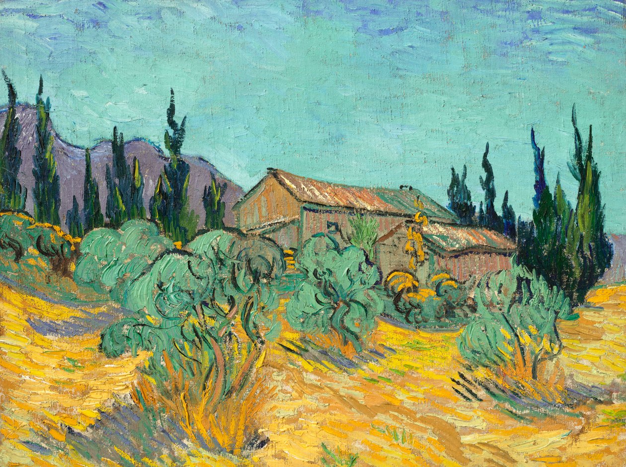 Træhytter blandt oliventræer og cypresser af Vincent van Gogh