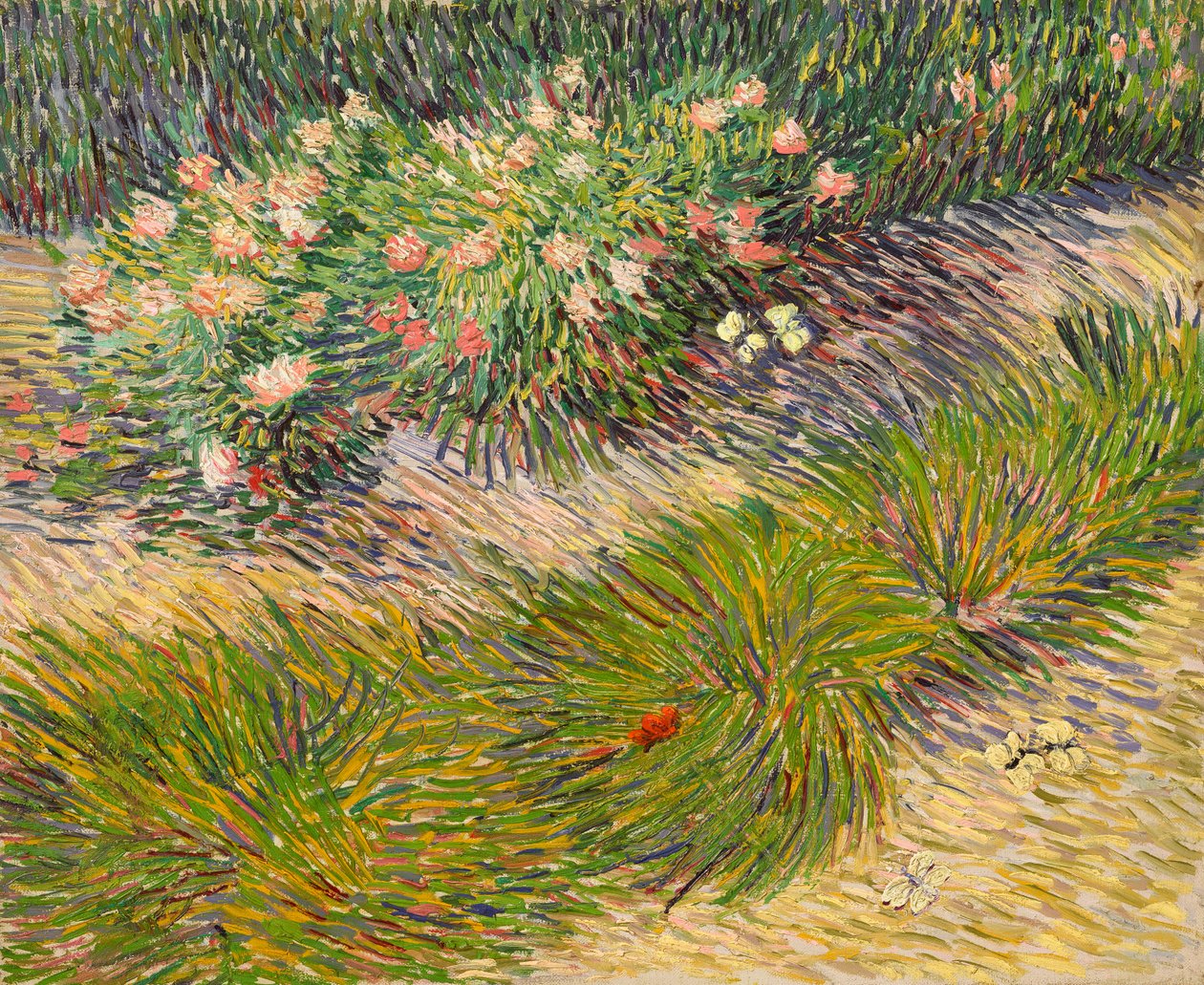 Hjørne af haven med sommerfugle af Vincent van Gogh