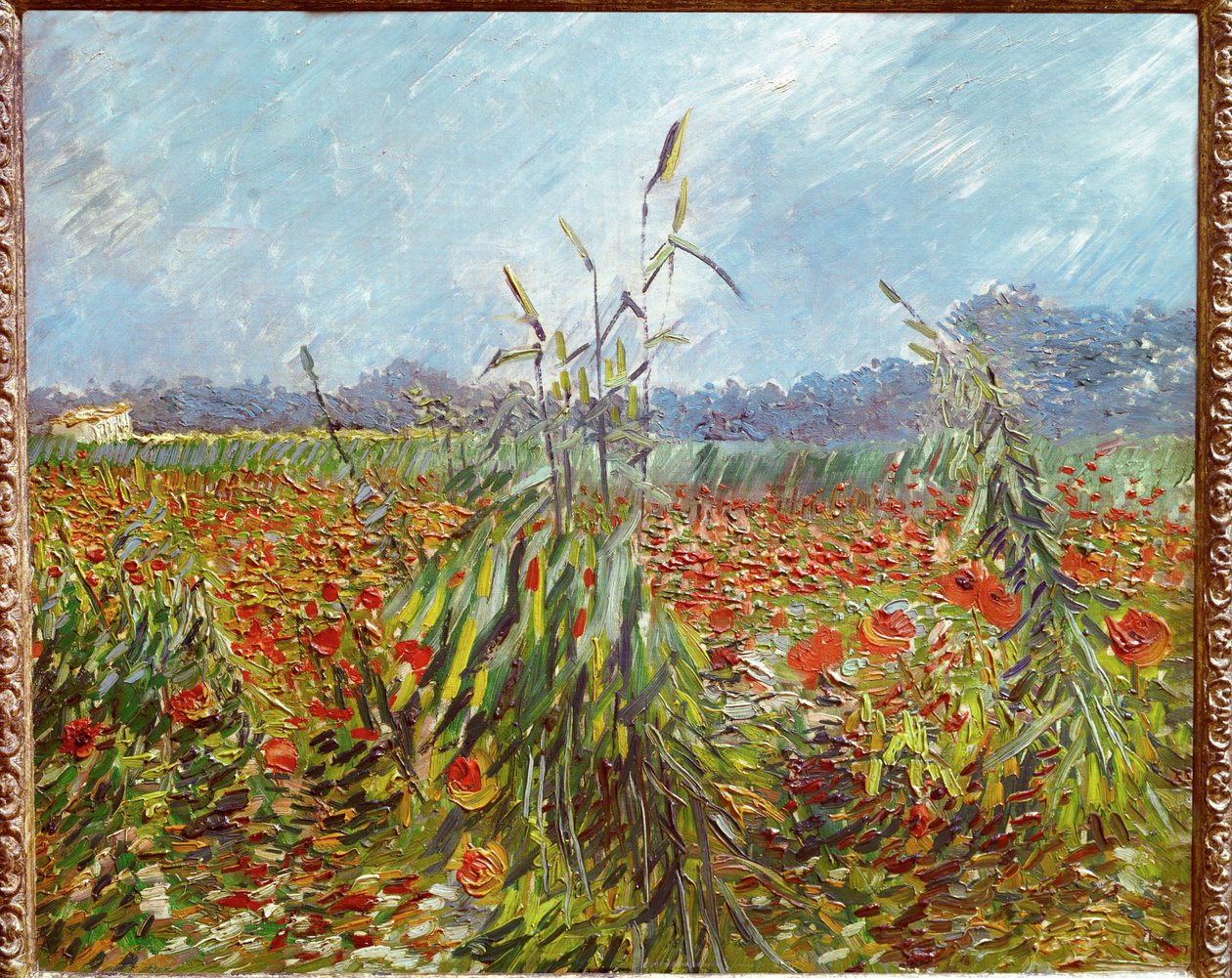 Kornmarker og valmuer (olie på lærred) af Vincent van Gogh
