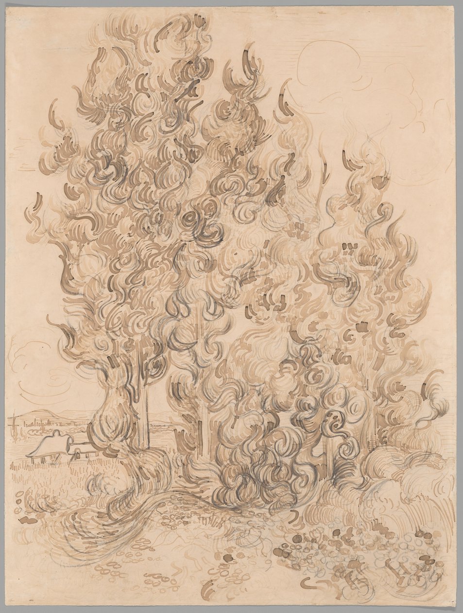 Cypresser af Vincent van Gogh