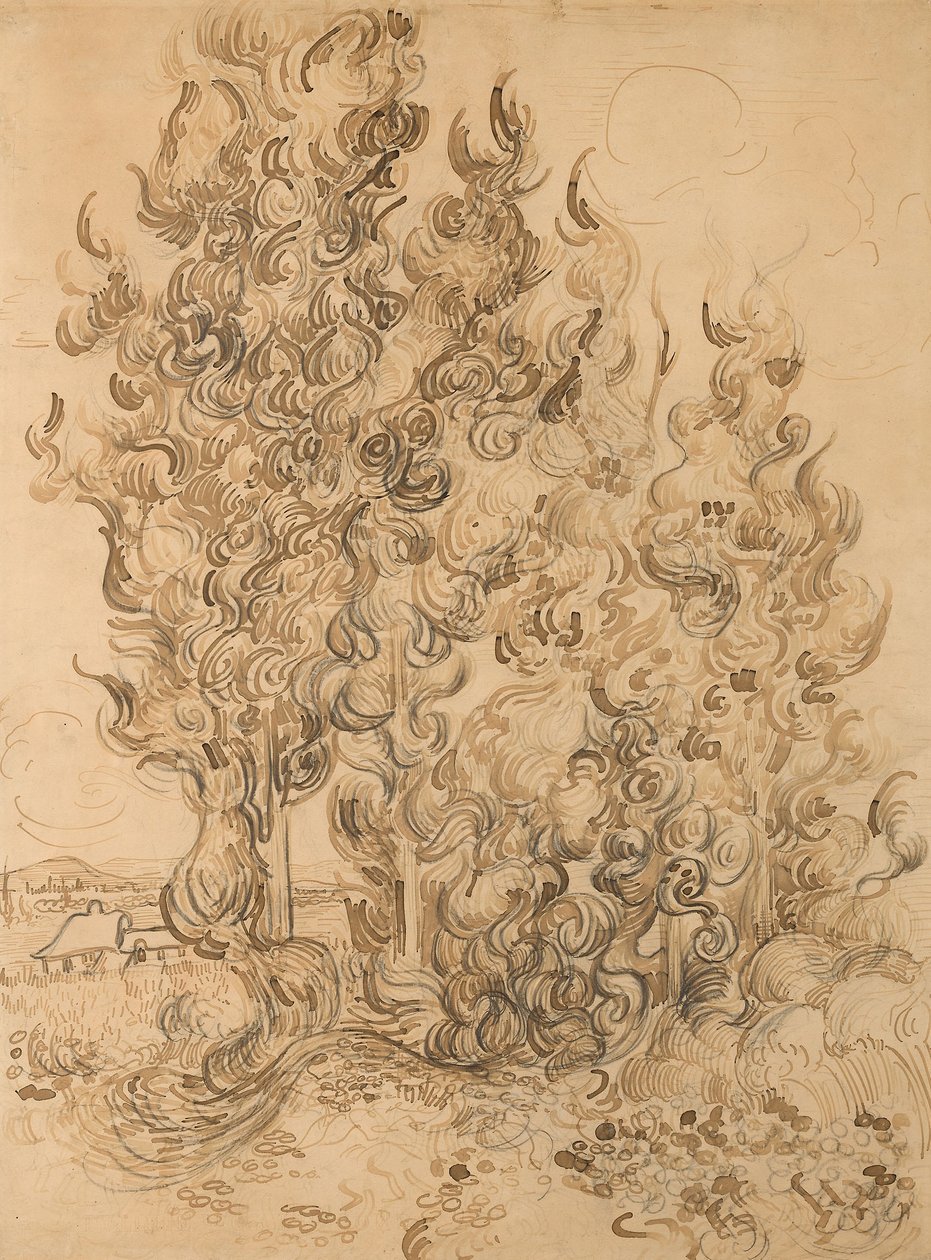 Cypresser af Vincent van Gogh