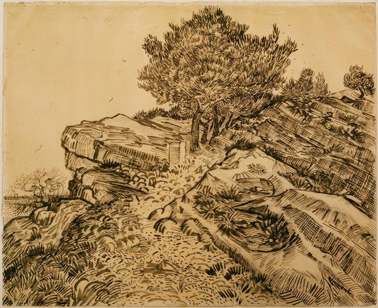 Klippen i Montmajour med fyrretræer af Vincent van Gogh