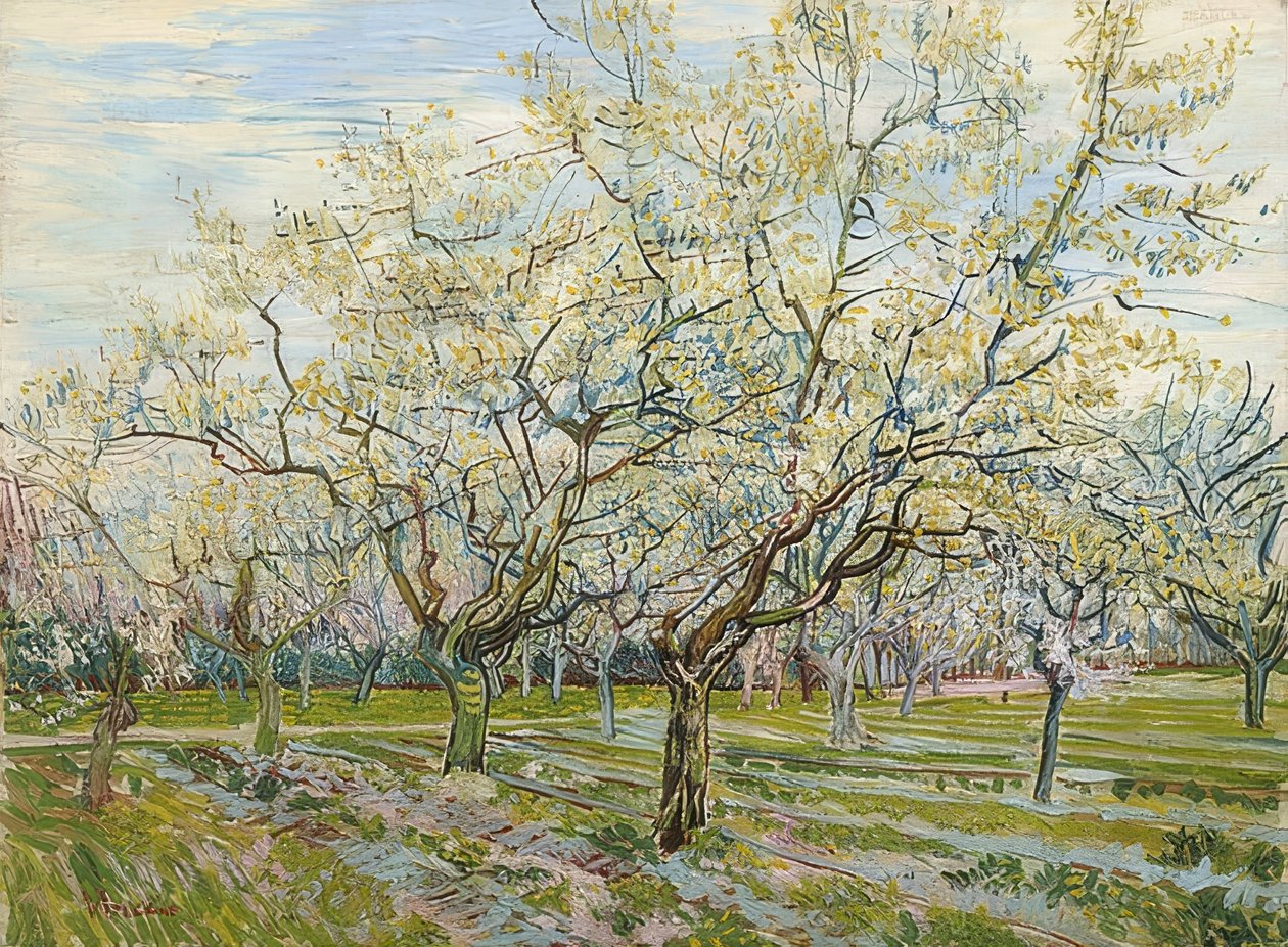 Den hvide frugthave. 1888 af Vincent van Gogh