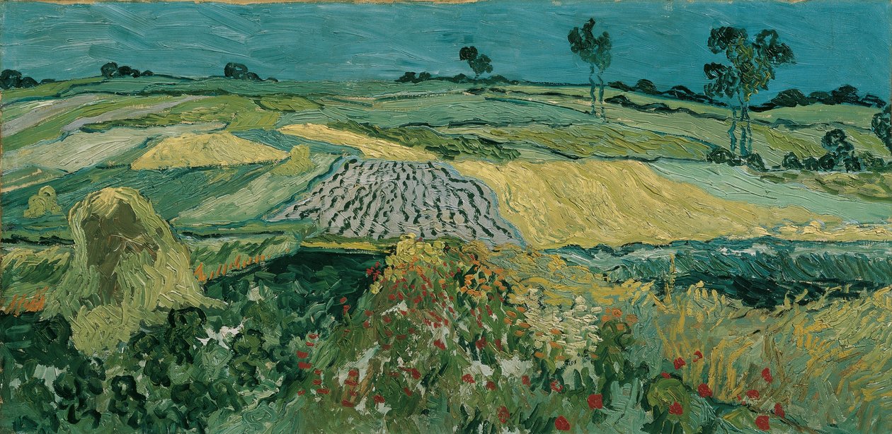 Auvers Plain af Vincent van Gogh