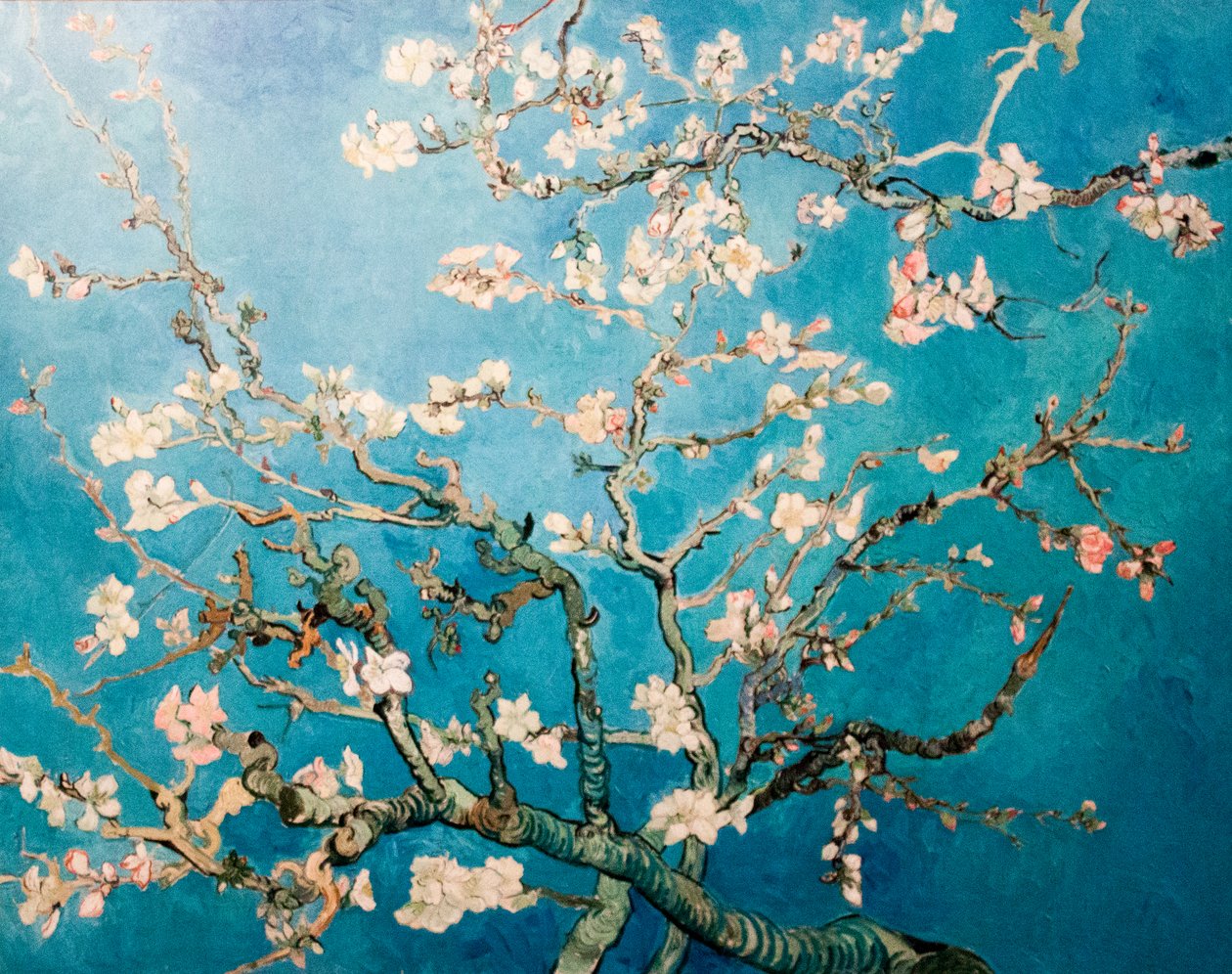 Hollandsk: Amandelbloesem Blomstrende mandelgren træ af Vincent van Gogh
