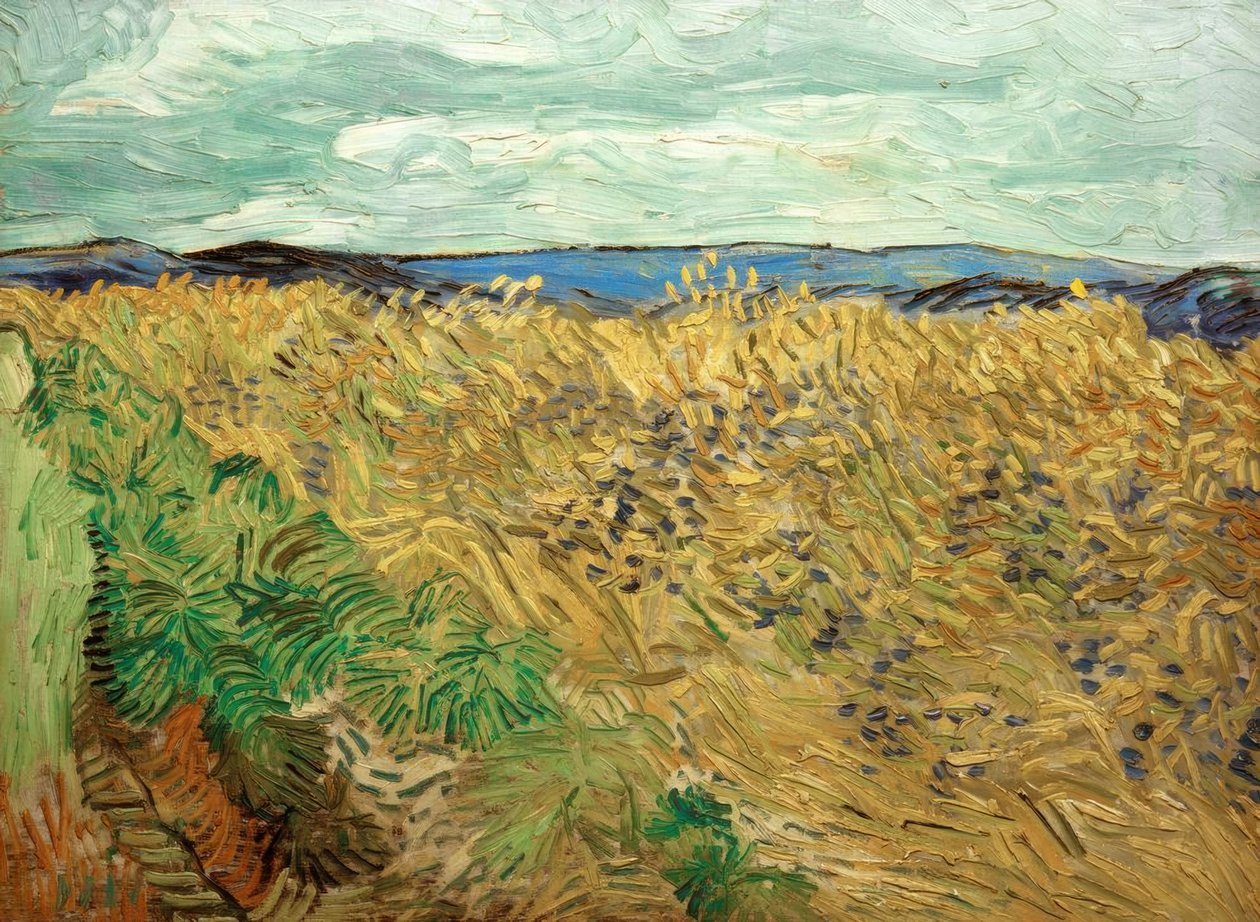 Mark med kornblomster af Vincent van Gogh