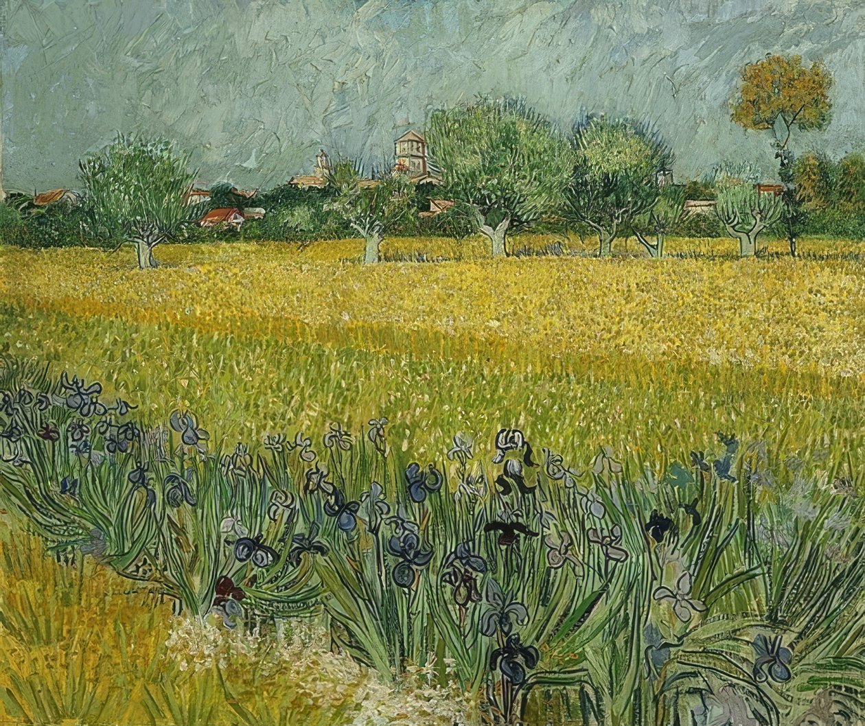 Mark med iris nær Arles. maj 1888 af Vincent van Gogh