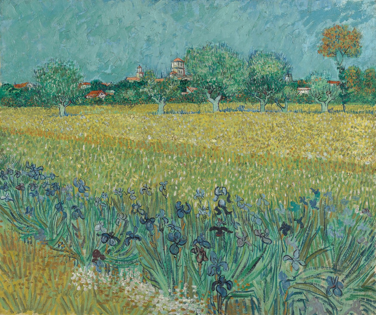 Mark med blomster nær Arles af Vincent van Gogh