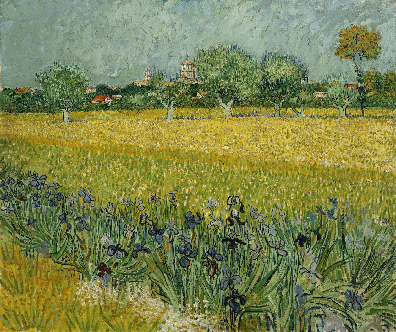 Mark med blomster nær Arles af Vincent van Gogh