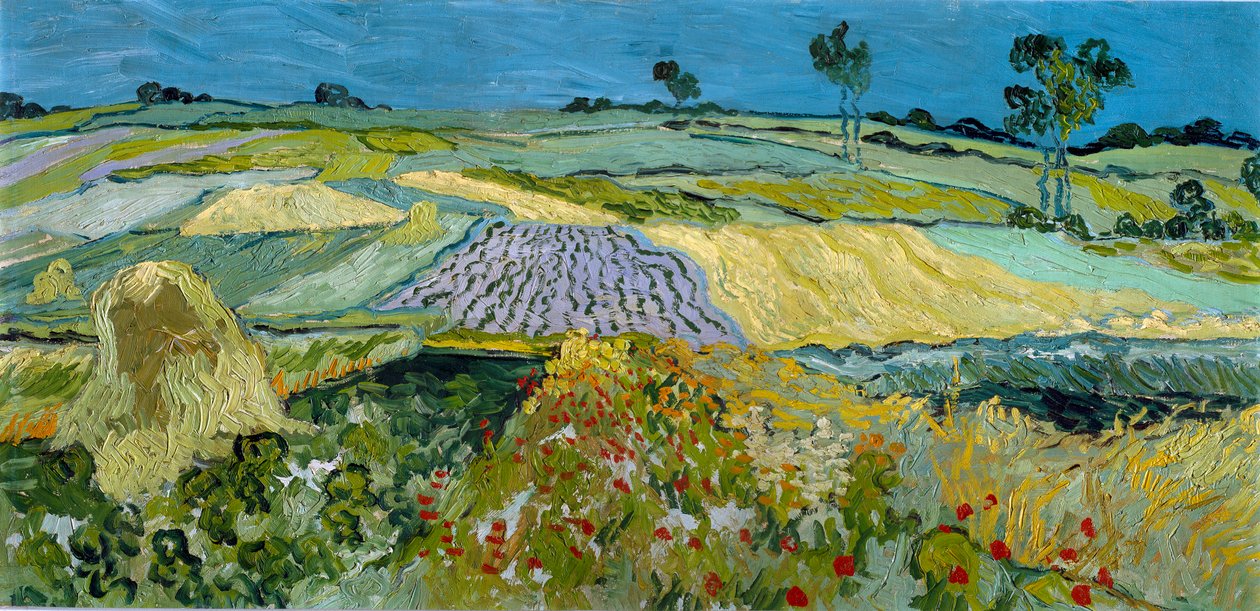 af Vincent van Gogh