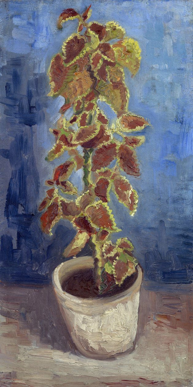Flammenælde i en blomsterpotte af Gogh, Vincent, van (1853-1890). Olie på lærred, størrelse: 42,1x21,9 af Vincent van Gogh