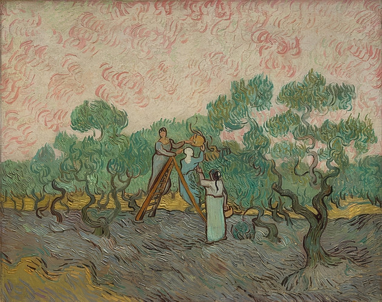 Kvinder høster oliven. 1889 af Vincent van Gogh