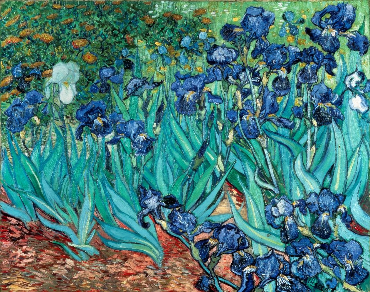 Iris (Iris) af Vincent van Gogh