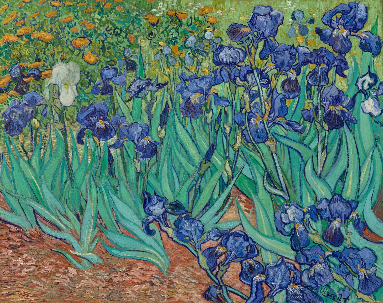 Iris af Vincent van Gogh