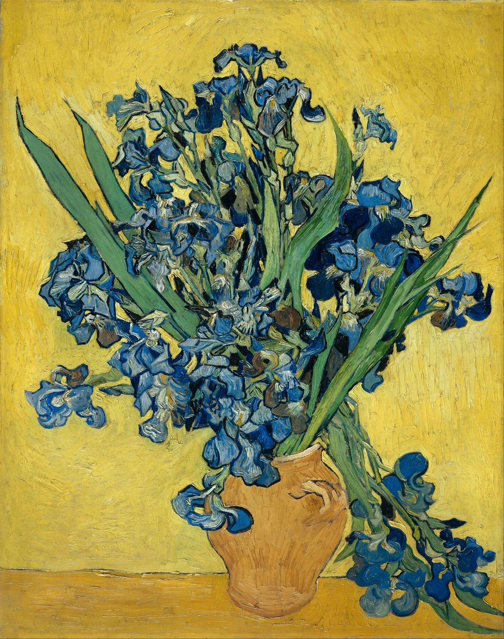 Iriser af Vincent van Gogh