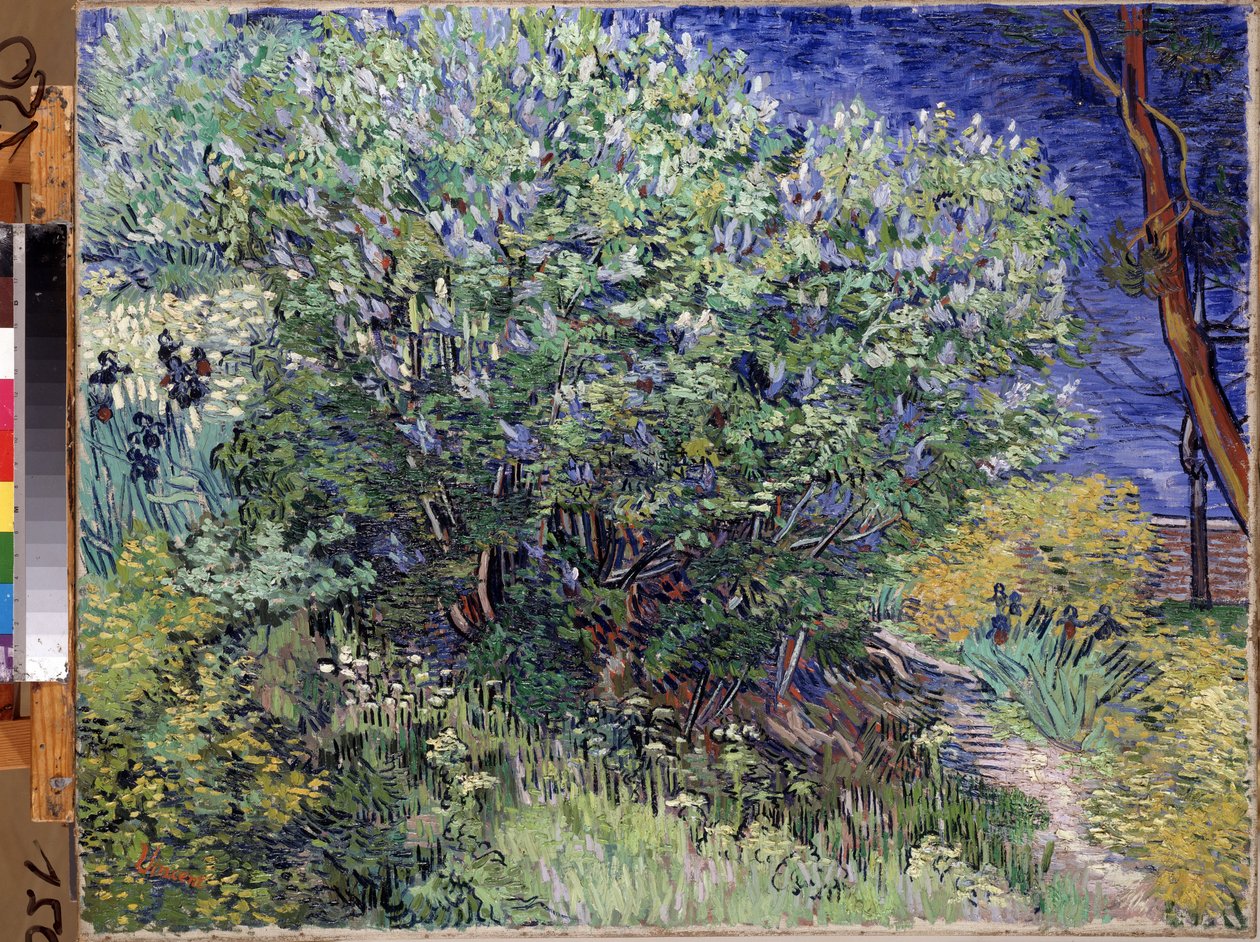 ""Syrenbusken"" (Sylenbusken) Maleri af Vincent van Gogh (1853-1890) 1889 Dim. 72x92 cm Eremitagemuseet, Sankt Petersborg (Saint-Petersburg) af Vincent van Gogh
