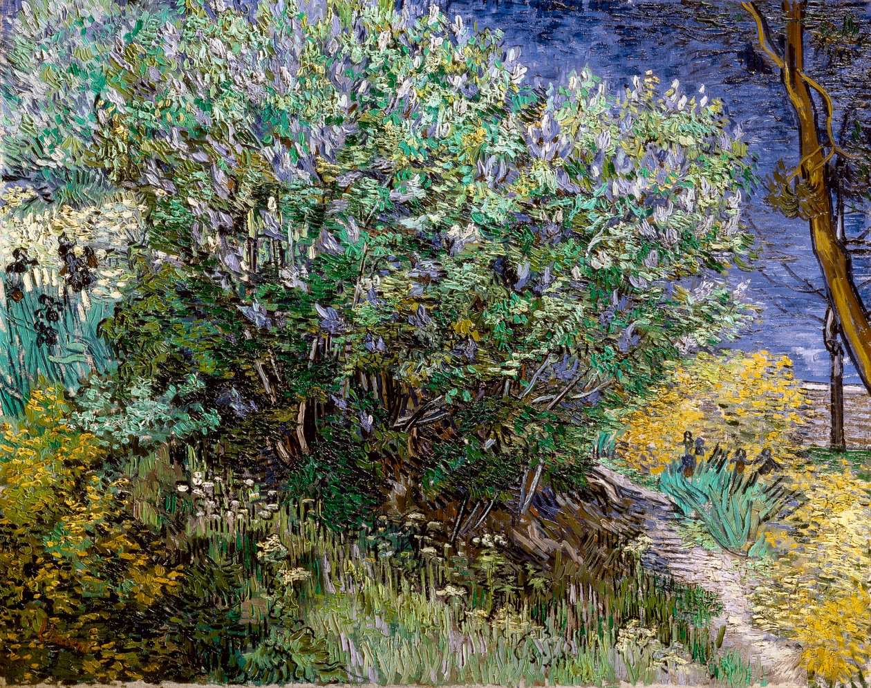 Lilas Bush. Vincent Van Gogh (1853-1890) af Vincent van Gogh