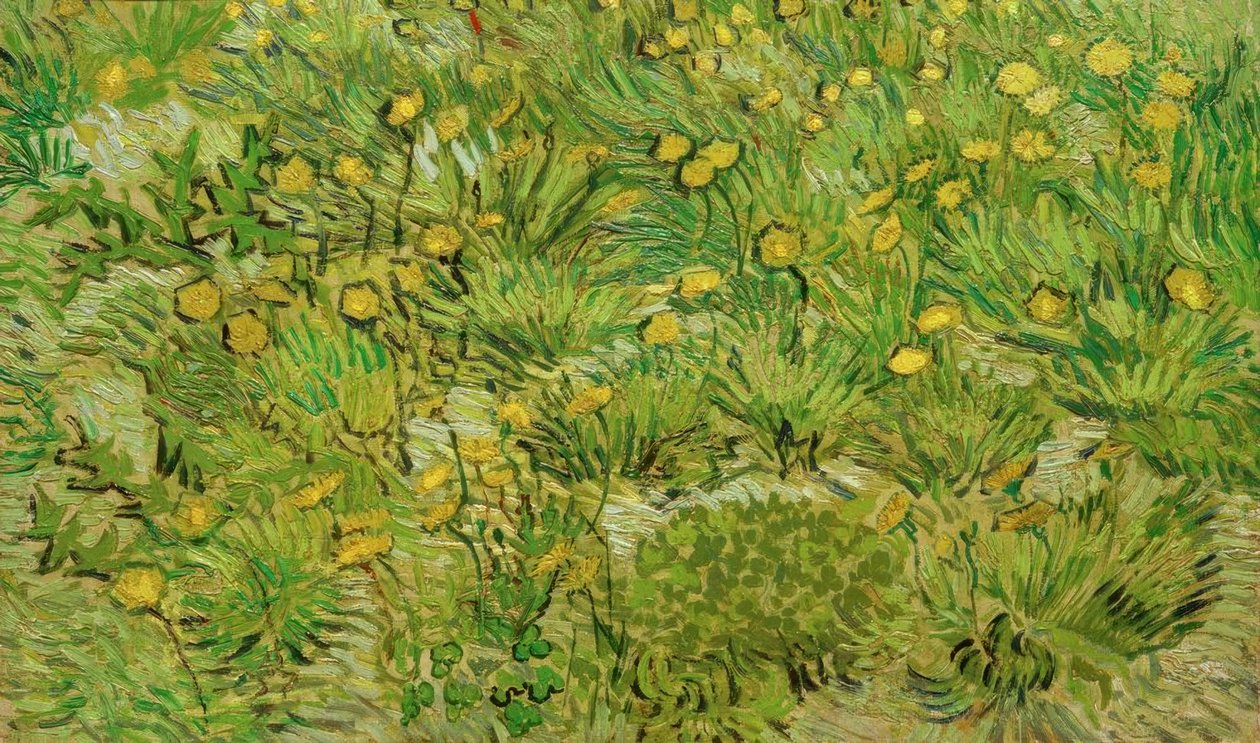 Mælkebøtter af Vincent van Gogh