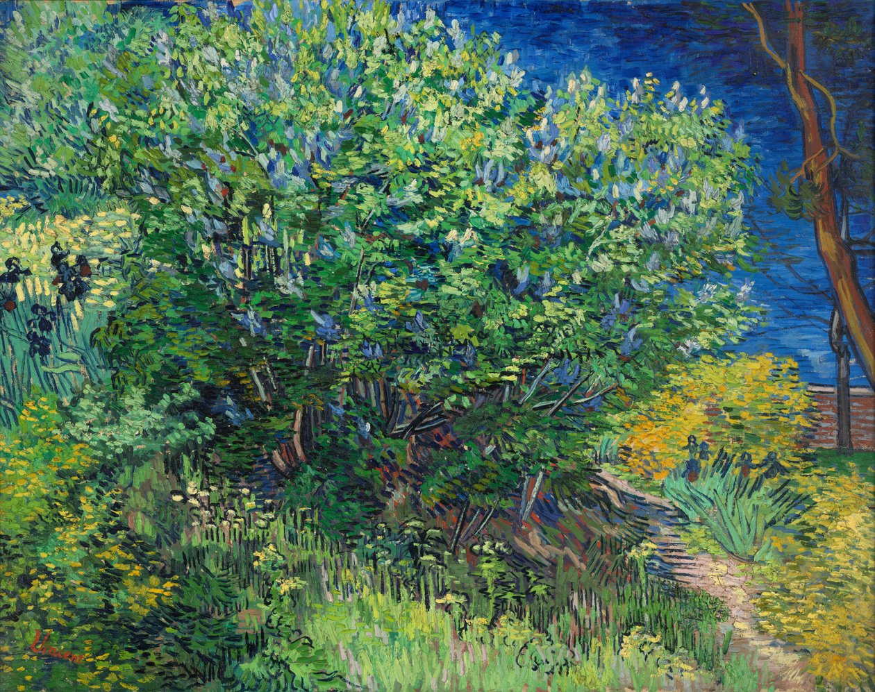 Syrener af Vincent van Gogh