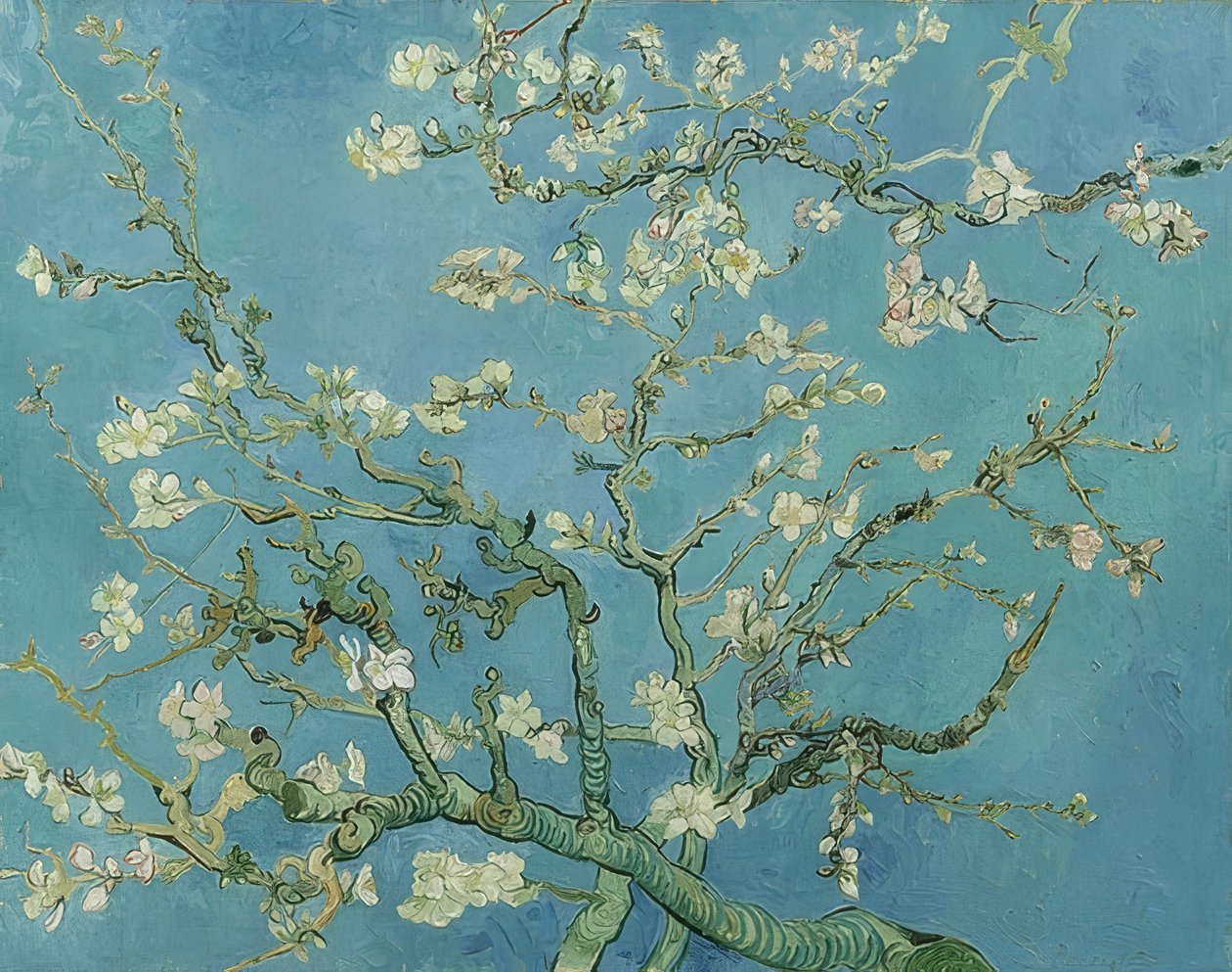 Mandelblüte. 1890 af Vincent van Gogh