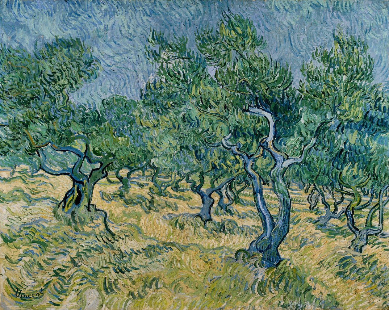 Olivenlund af Vincent van Gogh