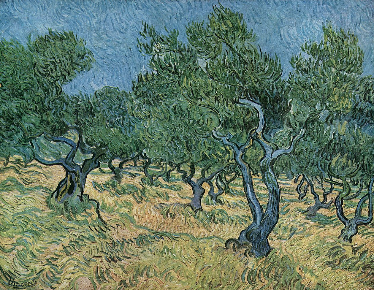Olivenlunden af Vincent van Gogh