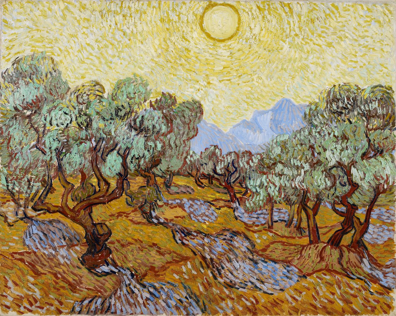 Oliventræer af Vincent van Gogh
