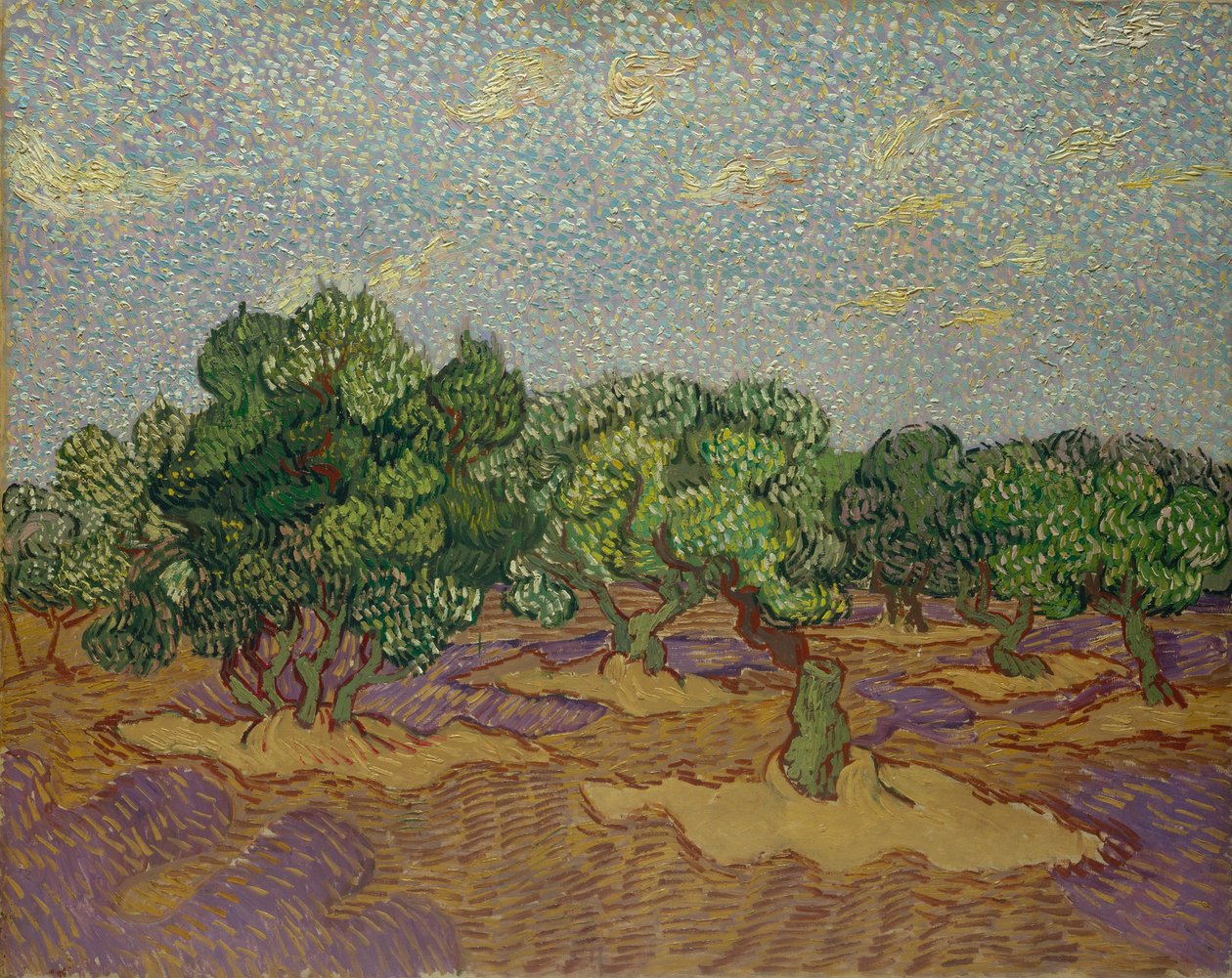Oliventræer, 1889. af Vincent van Gogh