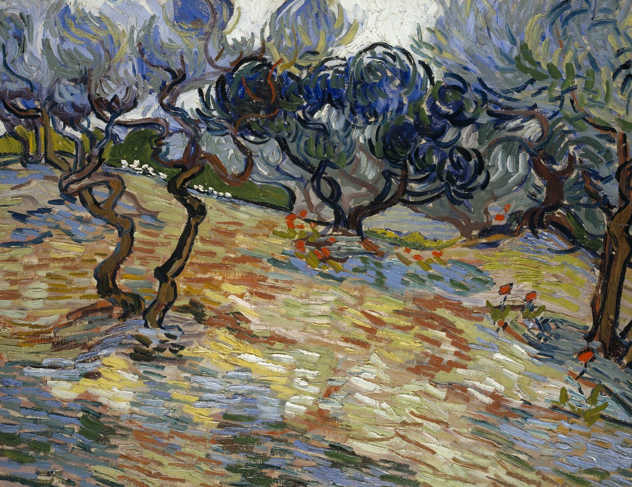 Oliventræer: Lysblå himmel af Vincent van Gogh
