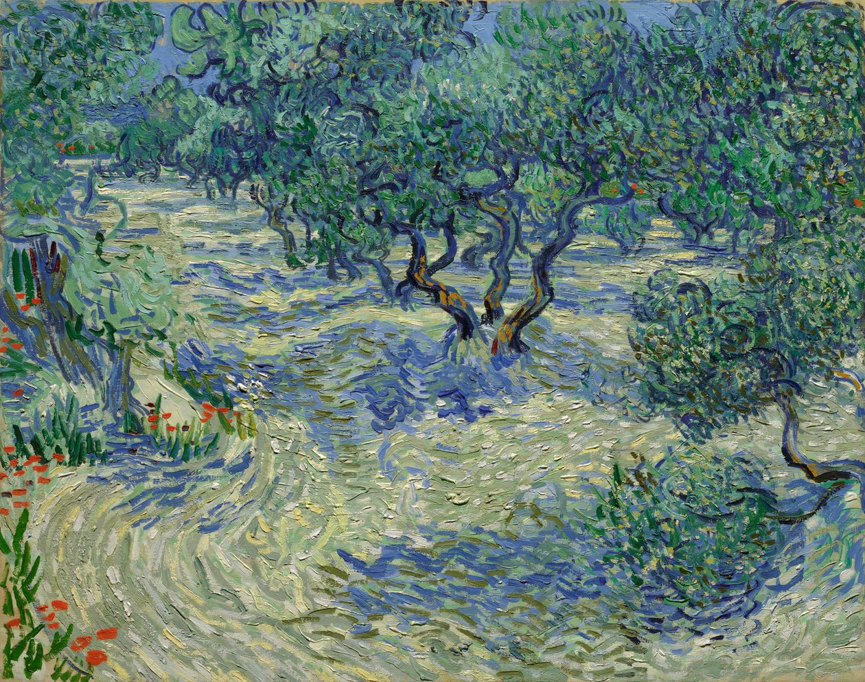 Oliventræer / Olivenlund af Vincent van Gogh
