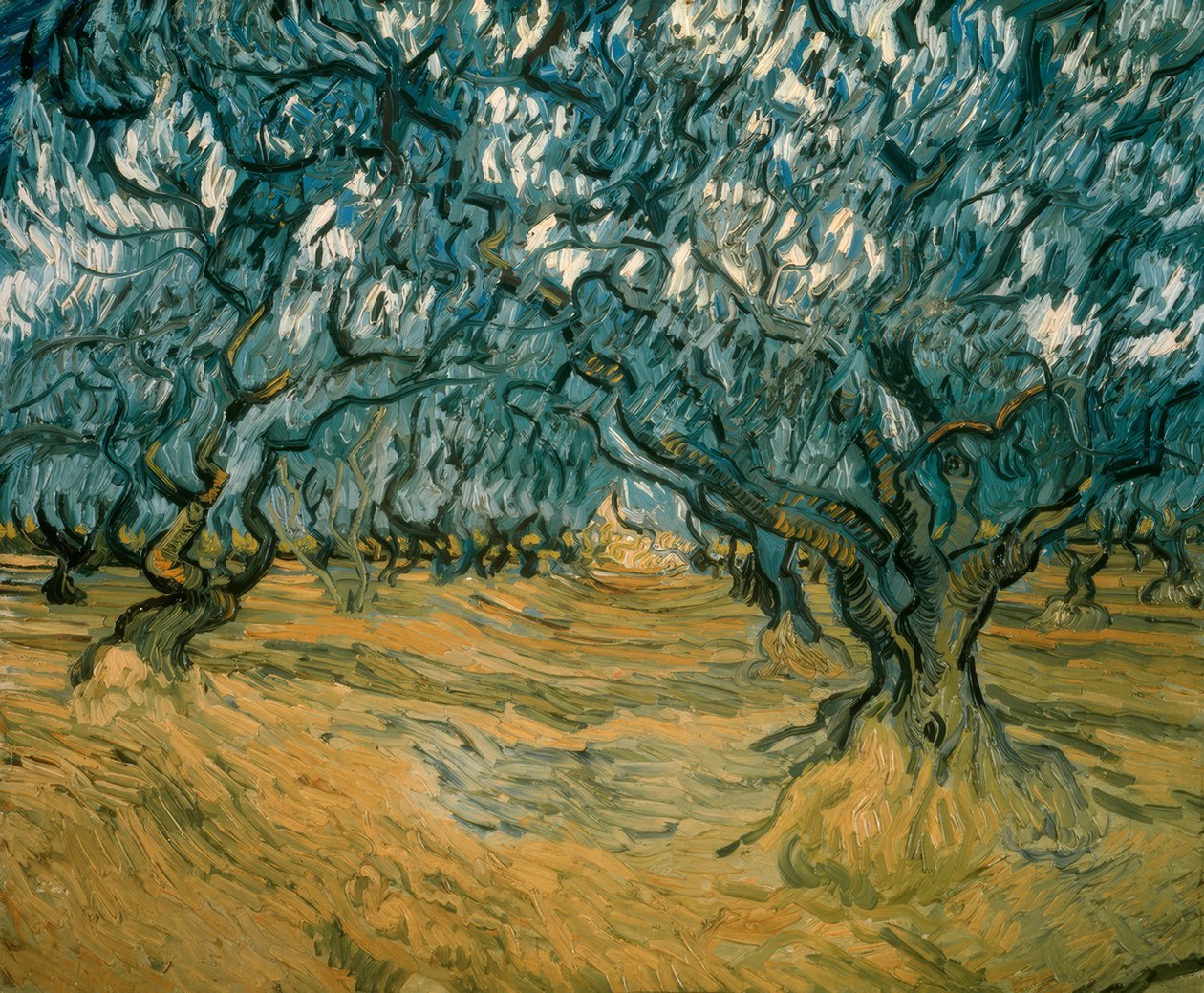 Oliventræer af Vincent van Gogh