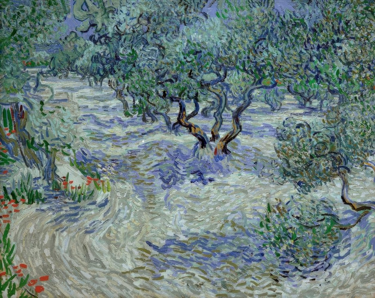 Olivenlund af Vincent van Gogh