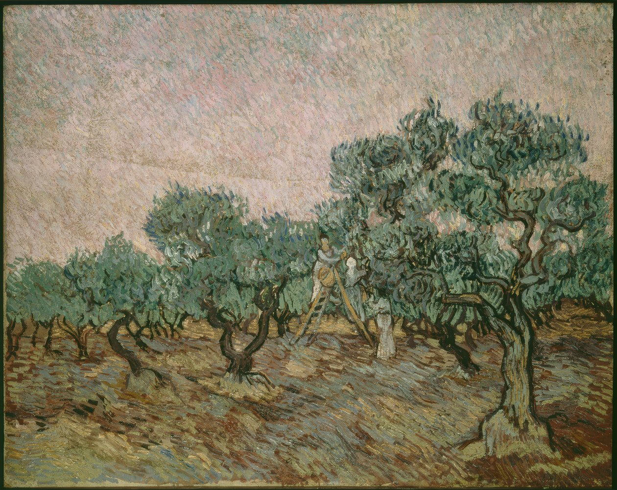 Olivenplukker af Vincent van Gogh