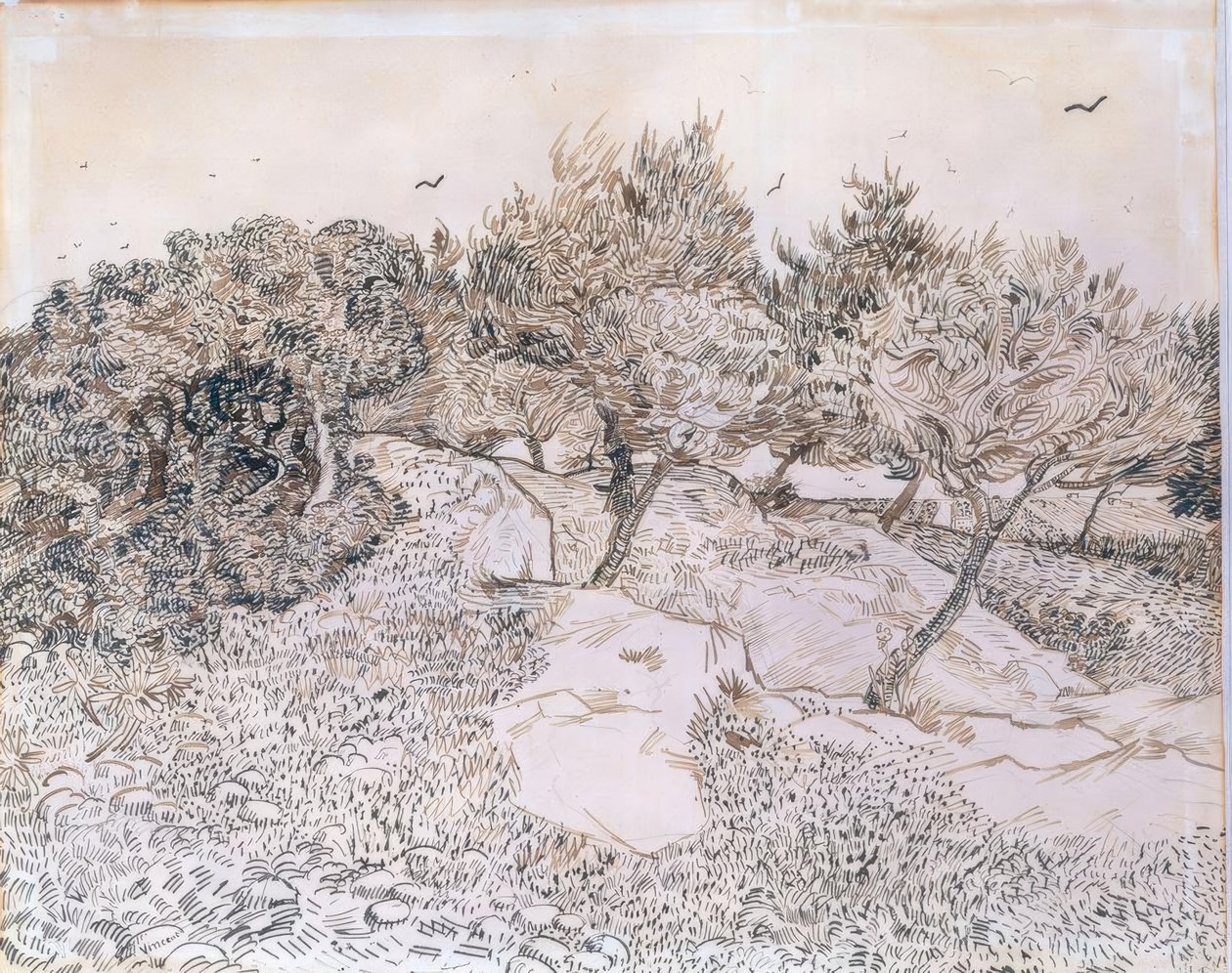 Oliventræer i Montmajour af Vincent van Gogh