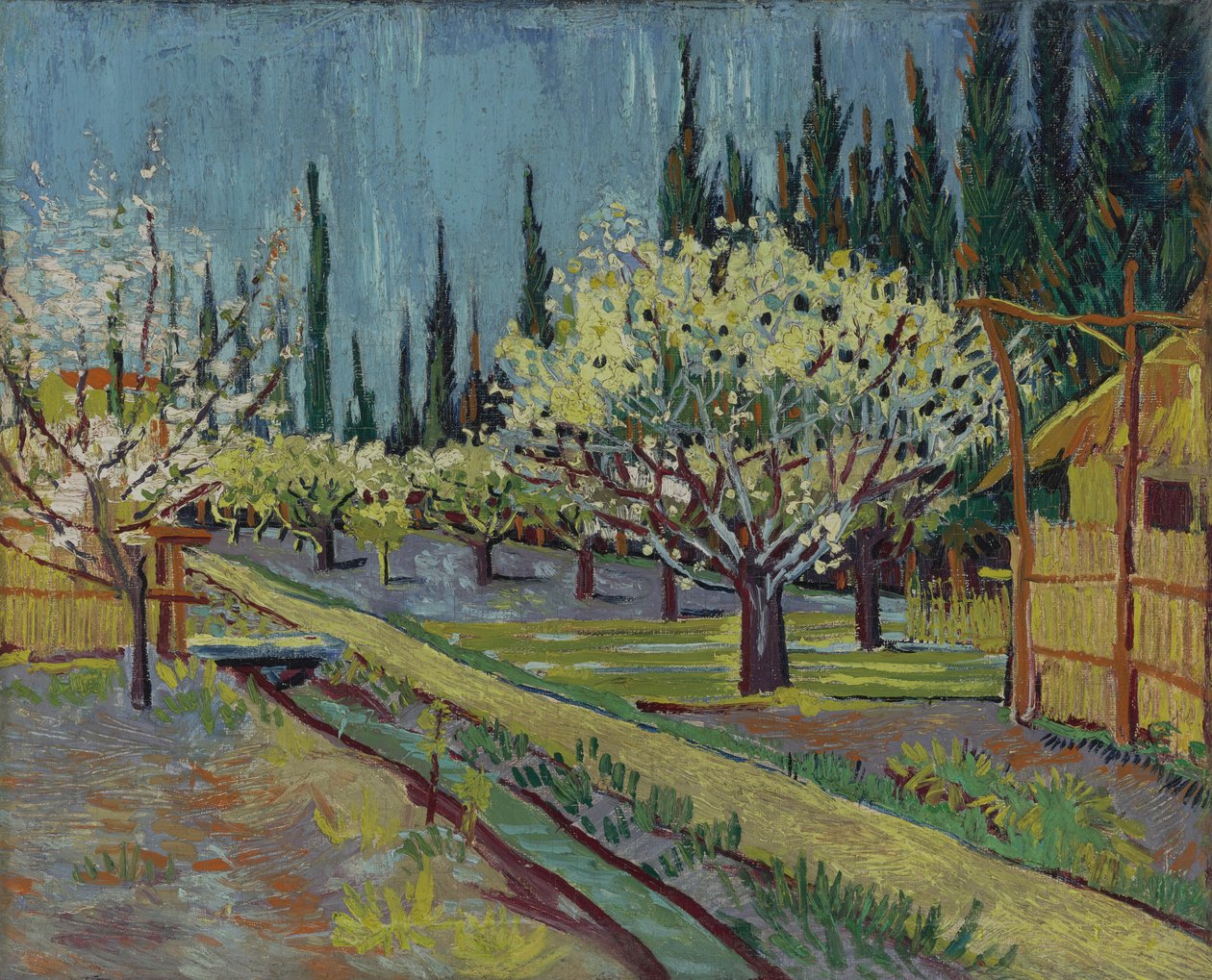 Frugthave omkranset af cypresser af Vincent van Gogh