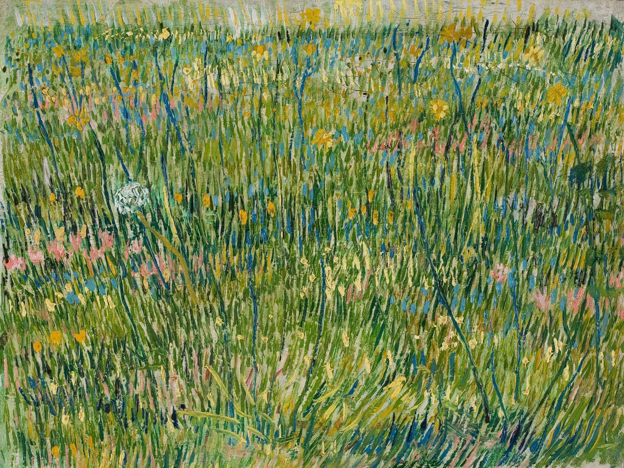 Patch of Grass, april-juni 1887 (olie på lærred) af Vincent van Gogh