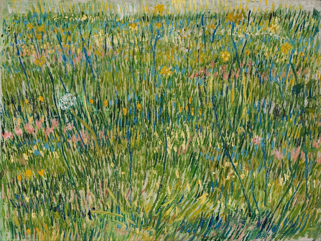 En græsplæne af Vincent van Gogh