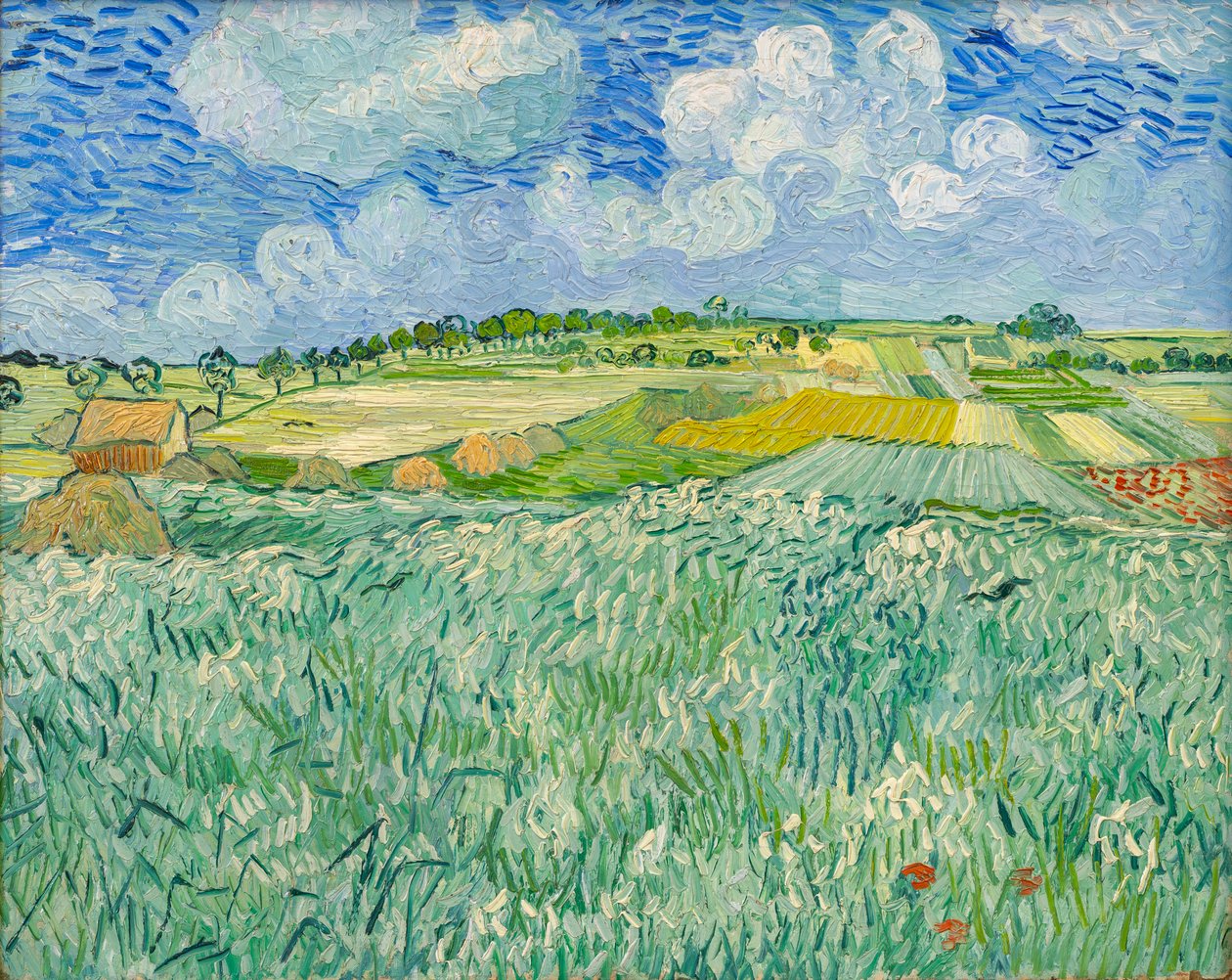 Slette nær Auvers af Vincent van Gogh