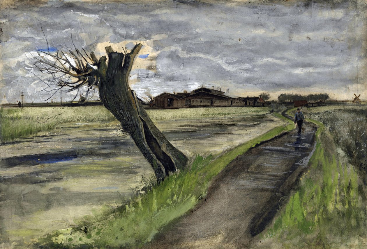 Pollard Willow (saule tetard) af Gogh, Vincent, van (1853-1890). Blyant, akvarel, Gouache, blæk på papir, størrelse: 38x55,8 af Vincent van Gogh