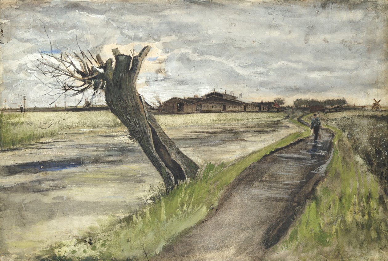 Pollard Willow, 1882 af Vincent van Gogh