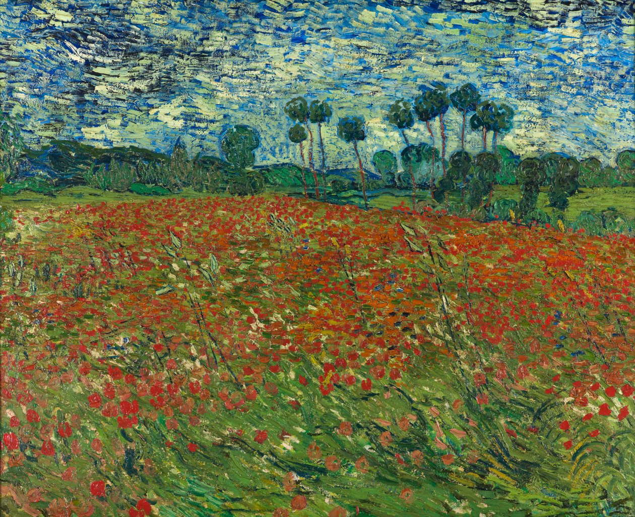 Valmuemark af Vincent van Gogh