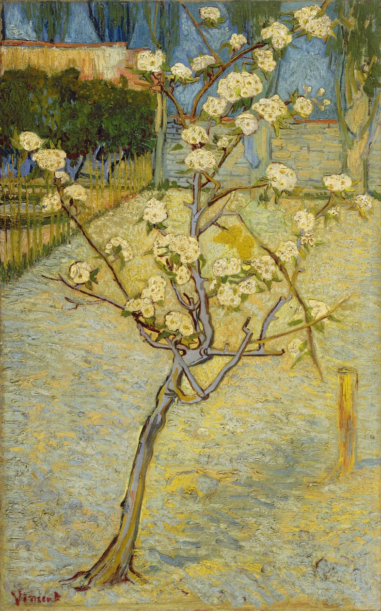 Lille pæretræ i blomst af Vincent van Gogh