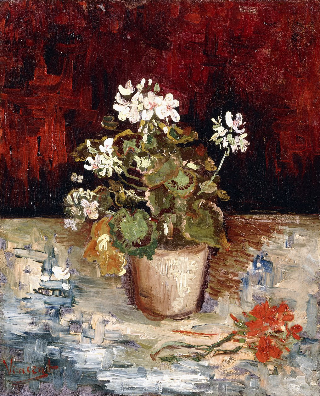 Stilleben Pot of Pelargonier, 1886 af Vincent van Gogh