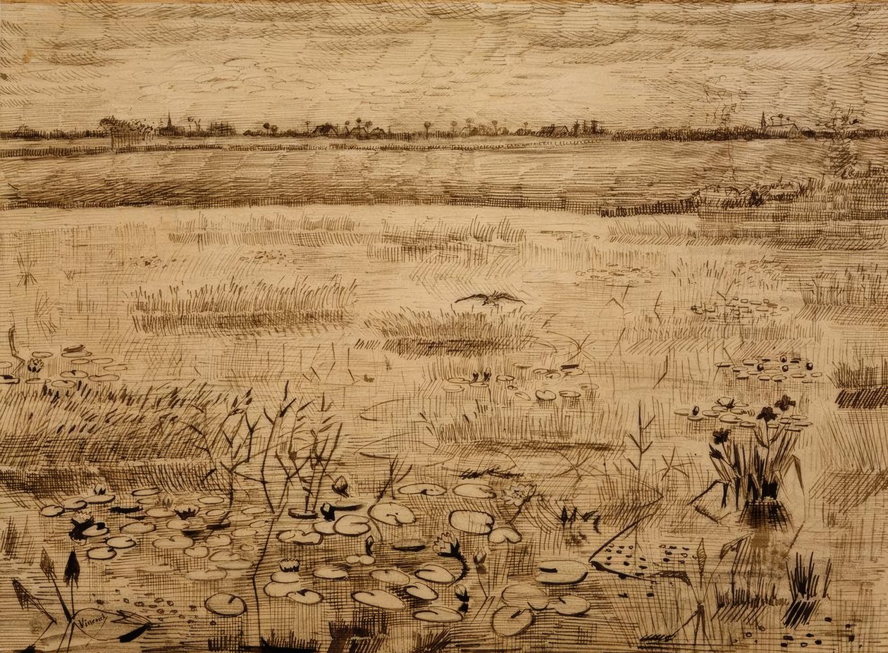 Sumplandskab med åkander af Vincent van Gogh