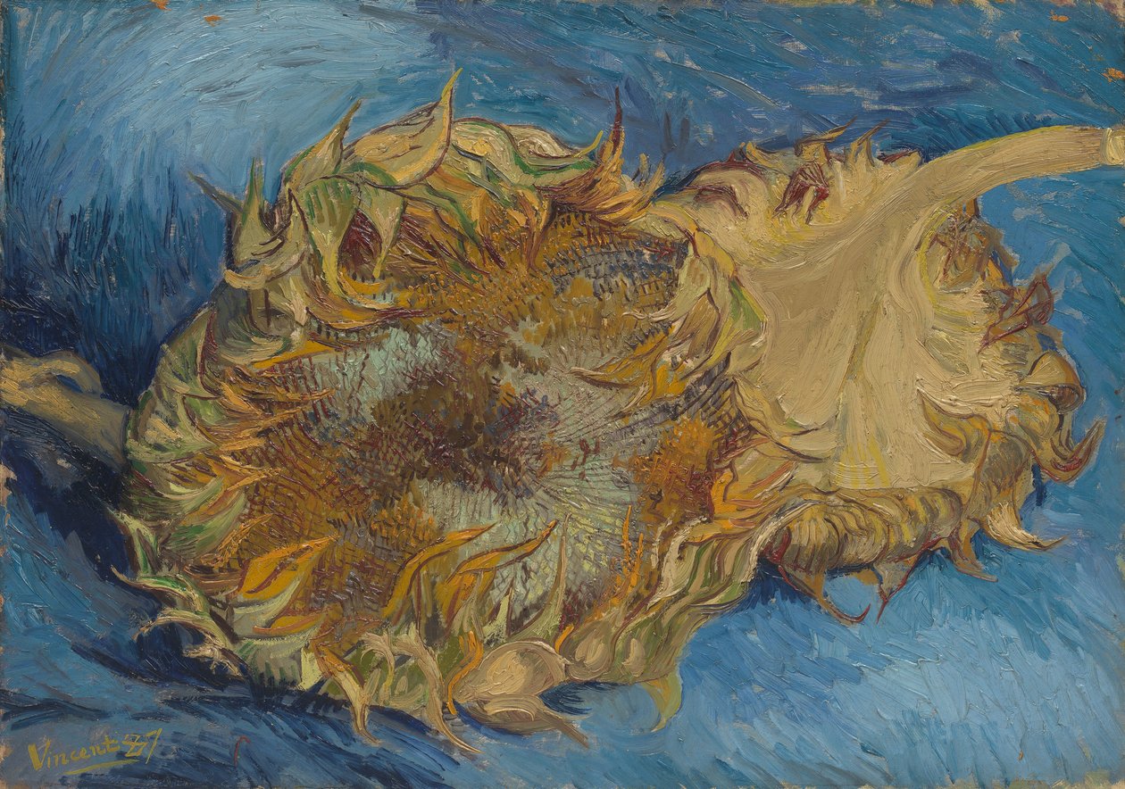 Solsikker, 1887. af Vincent van Gogh