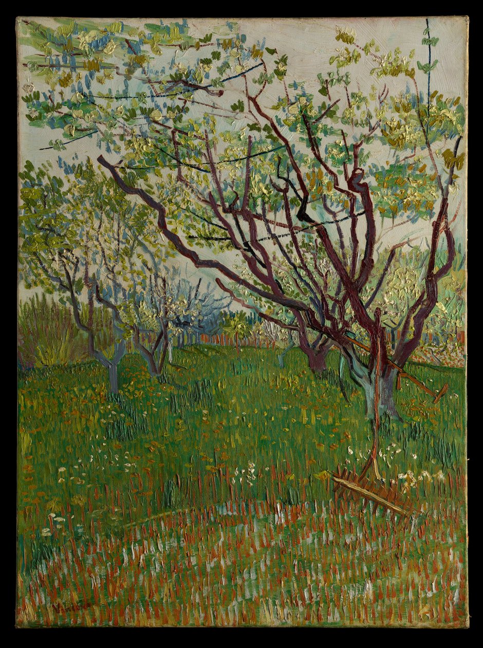 Den blomstrende frugthave af Vincent van Gogh