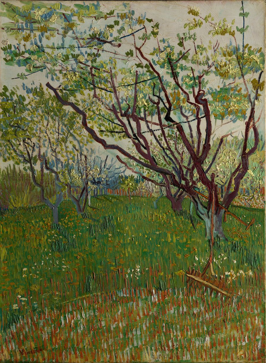 Den blomstrende frugthave, 1888. af Vincent van Gogh