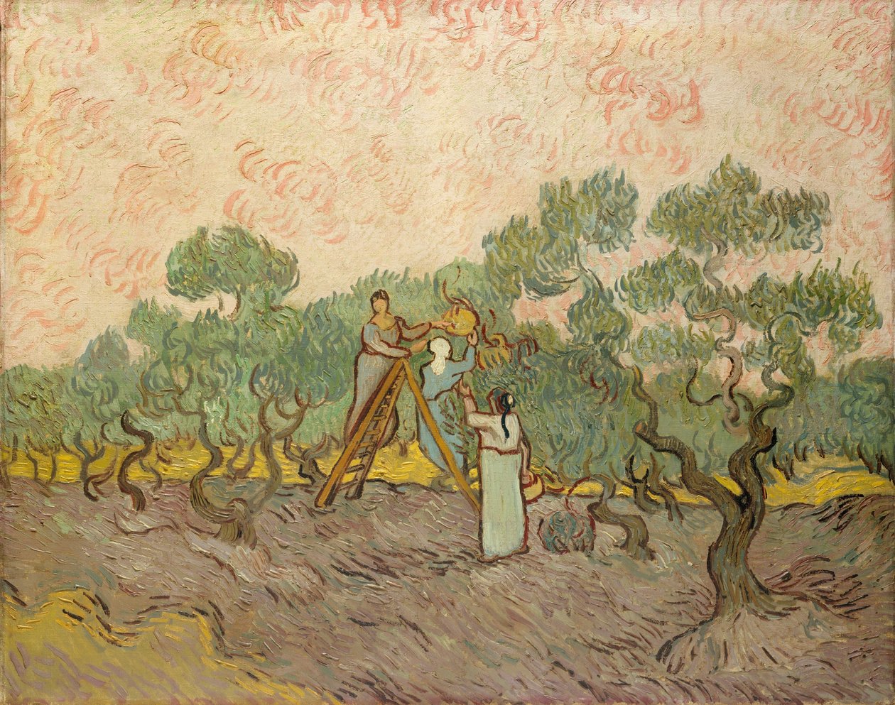 Olivenplukkerne, Saint-Remy af Vincent van Gogh