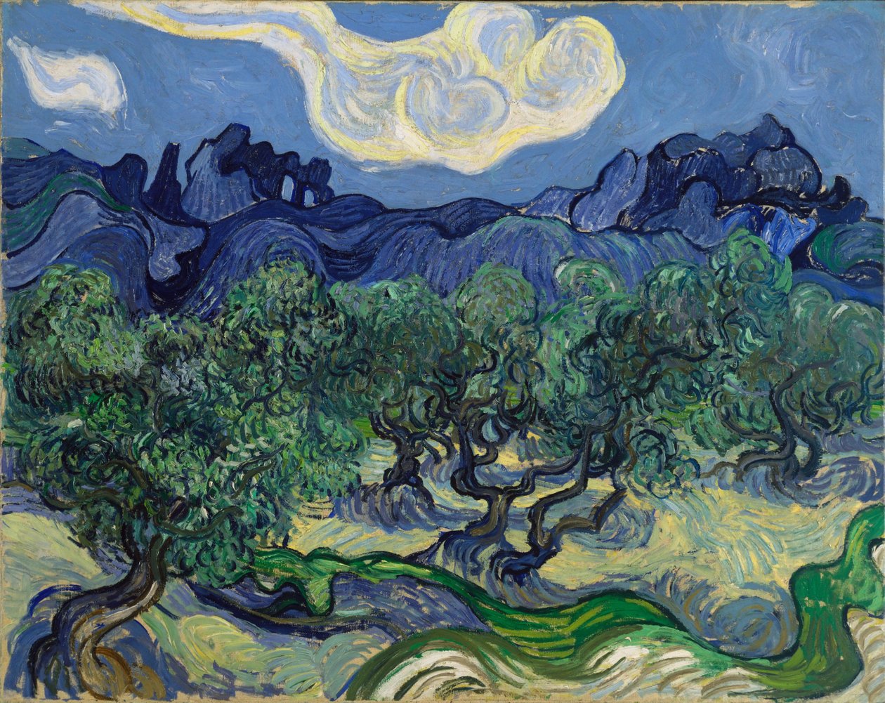 Oliventræerne af Vincent van Gogh